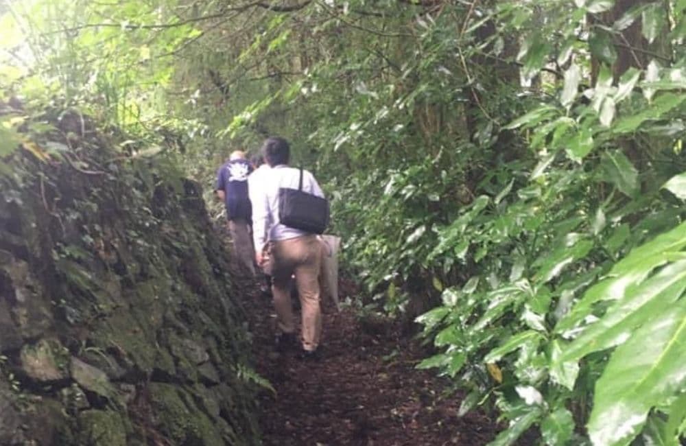 森繁哲也（もりしげてつや）