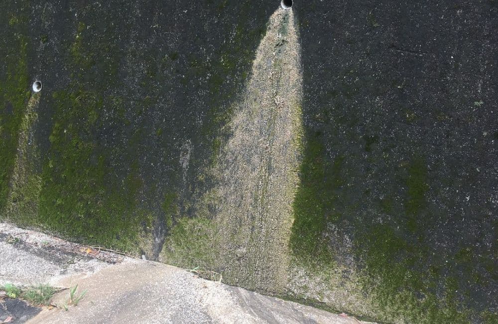 森繁哲也（もりしげてつや）