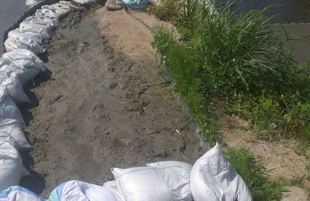 森繁哲也（もりしげてつや）