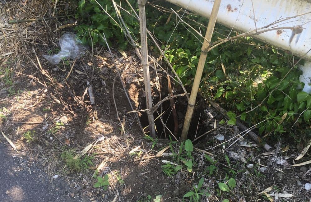 森繁哲也（もりしげてつや）