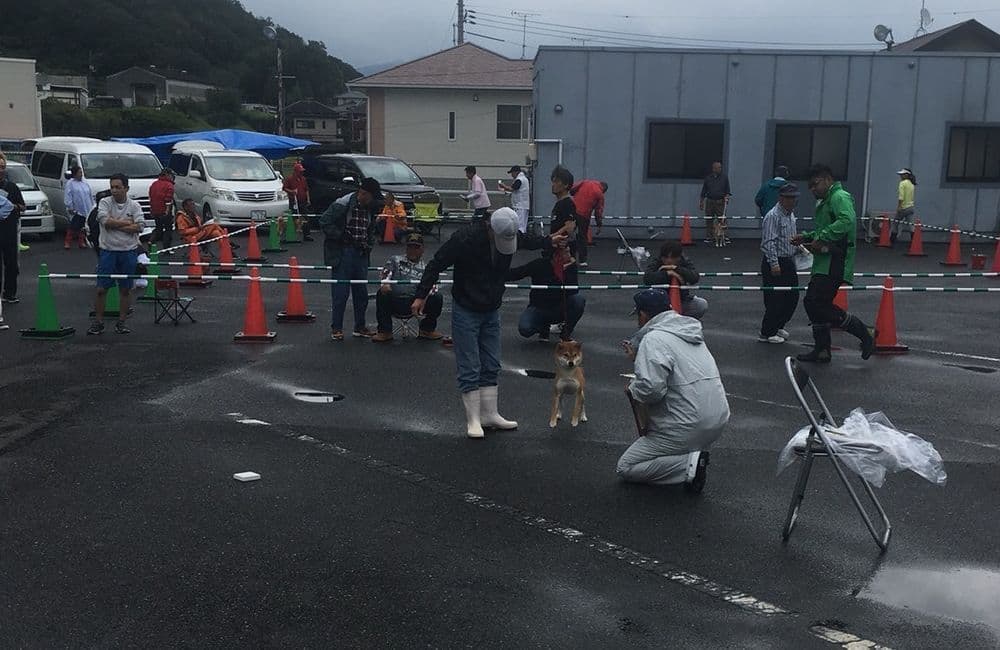 森繁哲也（もりしげてつや）