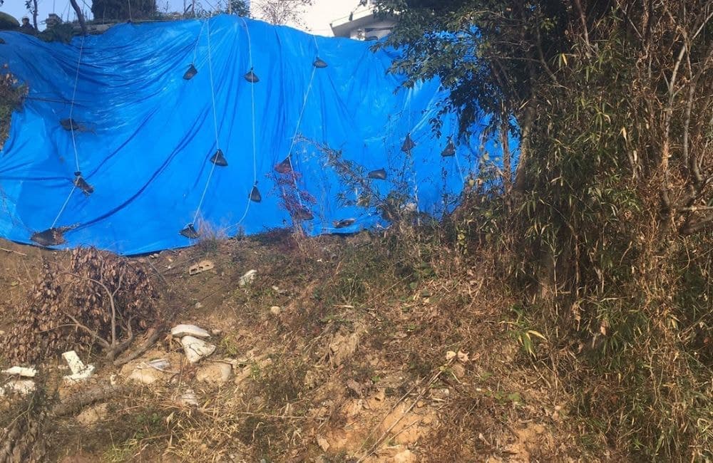 森繁哲也（もりしげてつや）