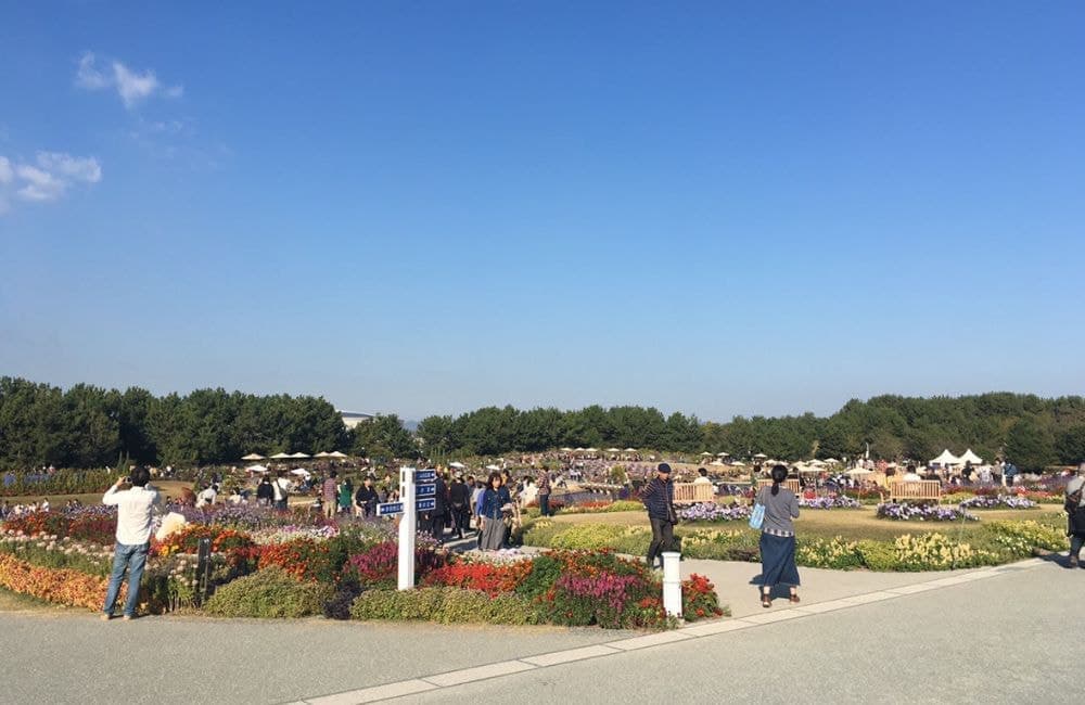 森繁哲也（もりしげてつや）