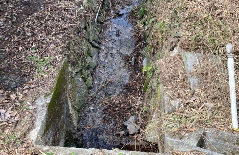 森繁哲也（もりしげてつや）